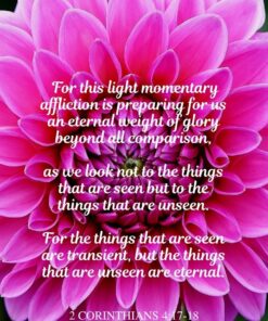 Christian Wallpaper - Pink Dahlia 2 Corinthians 4:17-18