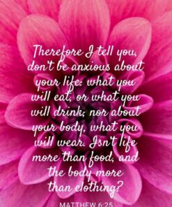 Christian Wallpaper - Pink Dahlia Matthew 6:25