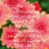 Christian Wallpaper - Pink Dahlias Ephesians 3:13