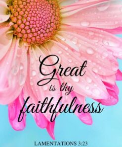 Christian Wallpaper - Pink Daisies Lamentations 3:23