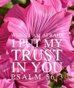 Christian Wallpaper - Pink Floral Psalm 56:3