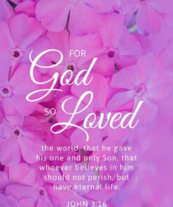 Christian Wallpaper - Pink Flowers John 3:16