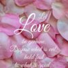Christian Wallpaper - Pink Petals Romans 12:9