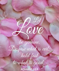 Christian Wallpaper - Pink Petals Romans 12:9