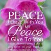 Christian Wallpaper – Pink Bells John 14:27