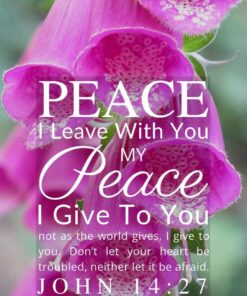 Christian Wallpaper – Pink Bells John 14:27