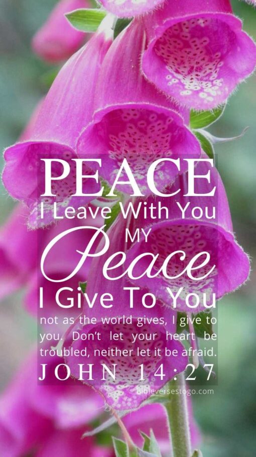 Christian Wallpaper – Pink Bells John 14:27