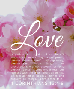 Christian Wallpaper – Pink Bloom 1 Corinthians 13:4-8