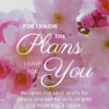 Christian Wallpaper - Pink Bloom Jeremiah 29:11