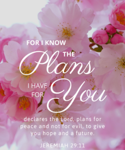 Christian Wallpaper - Pink Bloom Jeremiah 29:11