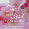 Christian Wallpaper – Pink Bloom Proverbs 3:5-6