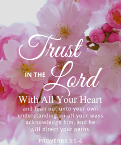 Christian Wallpaper – Pink Bloom Proverbs 3:5-6