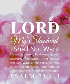 Christian Wallpaper – Pink Bloom Psalm 23:1-3