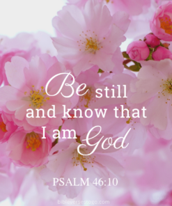 Christian Wallpaper – Pink Bloom Psalm 46:10