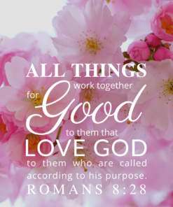Christian Wallpaper – Pink Bloom Romans 8:28