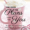 Christian Wallpaper – Pink Cup Jeremiah 29:11