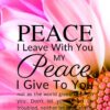 Christian Wallpaper – Pink Daisy John 14:27