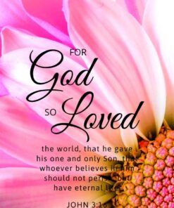 Christian Wallpaper – Pink Daisy John 3:16