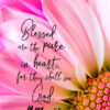 Christian Wallpaper – Pink Daisy Matthew 5:8