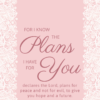 Christian Wallpaper – Pink Lace2 Jeremiah 29:11