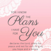 Christian Wallpaper – Pink Lace Jeremiah 29:11