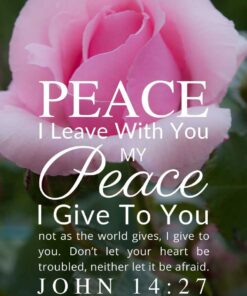 Christian Wallpaper – Pink Rose John 14:27