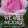 Christian Wallpaper – Pink Rose Psalm 118:24