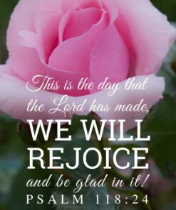 Christian Wallpaper – Pink Rose Psalm 118:24