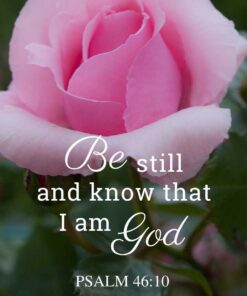 Christian Wallpaper – Pink Rose Psalm 46:10