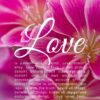Christian Wallpaper – Pink Stripe 1 Corinthians 13:4-8