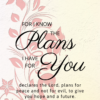 Christian Wallpaper – Pink Swan Jeremiah 29:11