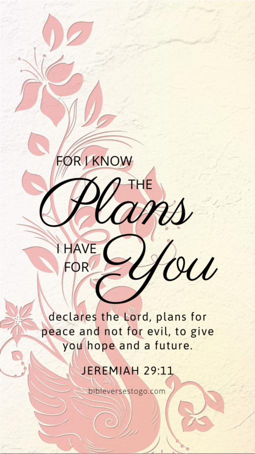 Christian Wallpaper – Pink Swan Jeremiah 29:11