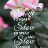Christian Wallpaper - Pink & White James 1:19