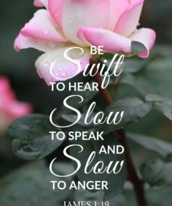 Christian Wallpaper - Pink & White James 1:19