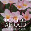 Christian Wallpaper - Pink n White Isaiah 41:13
