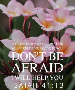 Christian Wallpaper - Pink n White Isaiah 41:13