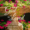 Christian Wallpaper – Planter John 3:16