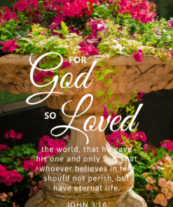 Christian Wallpaper – Planter John 3:16