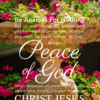 Christian Wallpaper – Planter Philippians 4:6-7