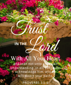 Christian Wallpaper – Planter Proverbs 3:5-6