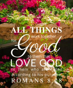 Christian Wallpaper – Planter Romans 8:28