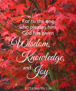 Pleasing God Ecclesiastes 2:26