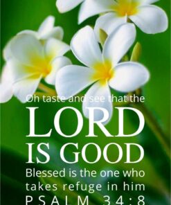 Christian Wallpaper - Plumeria Psalm 34:8