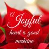 Christian Wallpaper - Poinsettia Proverbs 17:22