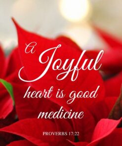 Christian Wallpaper - Poinsettia Proverbs 17:22