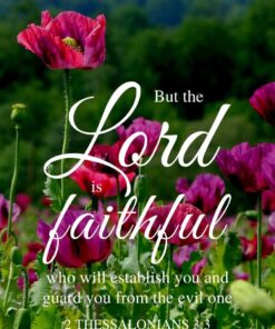 Christian Wallpaper - Poppy Field 2 Thessalonians 3:3
