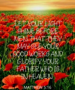 Christian Wallpaper - Poppy Sunrise Matthew 5:16