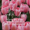 Christian Wallpaper - Prepare Your Mind 1 Peter 1:13