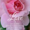 Christian Wallpaper - Pretty Pink John 13:34