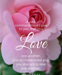 Christian Wallpaper - Pretty Pink John 13:34
